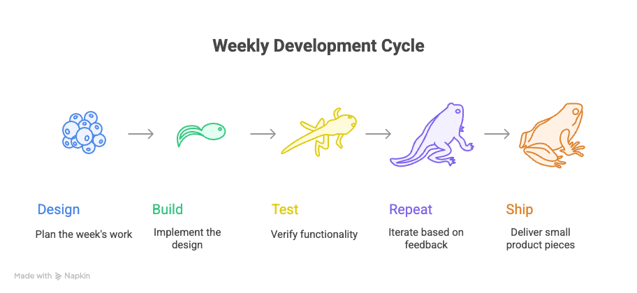 Why Less Was More: The Real Story Behind a 42-Day MVP Launch